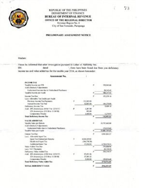 Preliminary Assessment Notice (PAN)